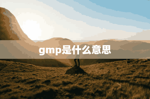 gmp是什么意思(gmp是什么意思医学)